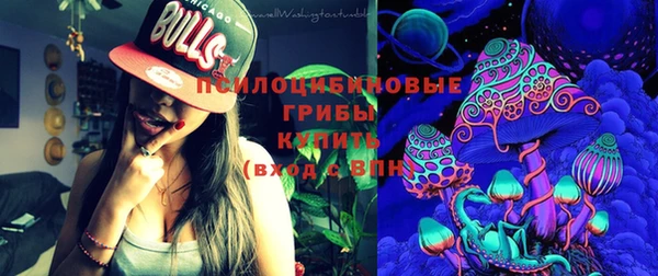 ешки Инта