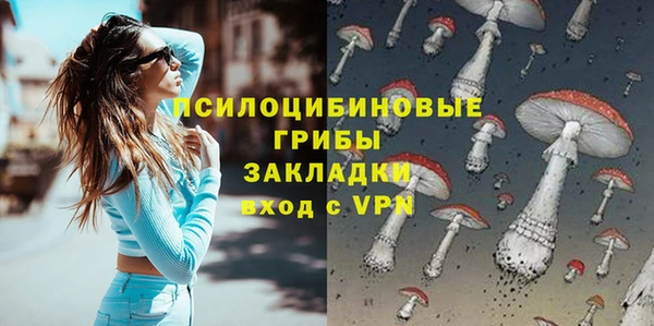 стафф Иннополис