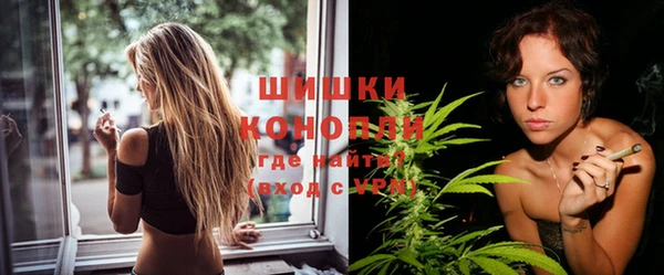 ешки Инта