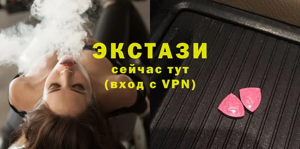 ешки Инта